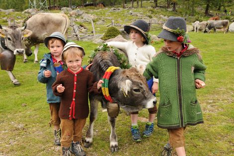 Streichelzoo Fiechter Alm